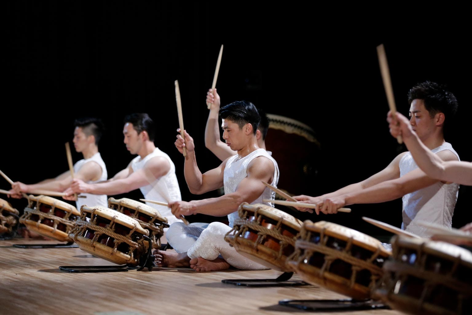 Photo from Kodo: Evolution