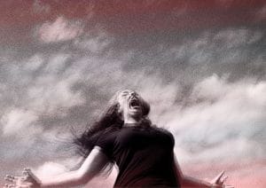 Image for The It with NT Connections